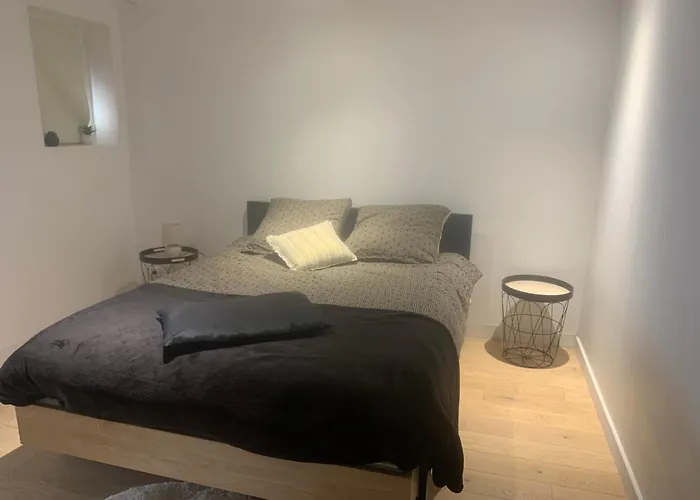Appartement Douillet